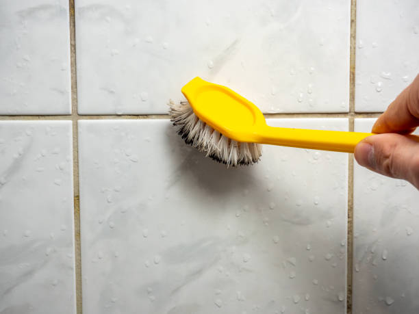 Best Black Mold Remediation in Holtsville, NY